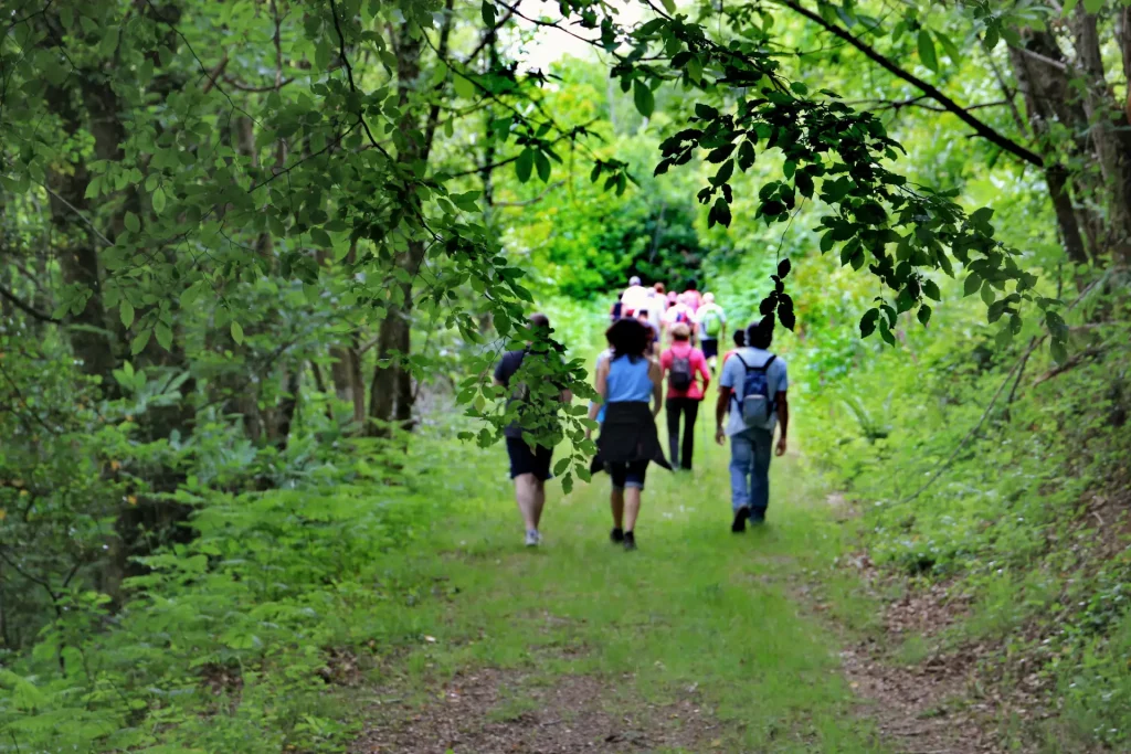 Vacances randonnée en Champagne-Ardenne autour du camping Le Lac d’Orient