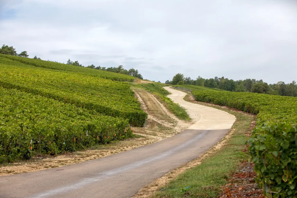 randonnée en Champagne-Ardenne au départ du camping